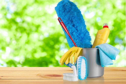 Professional rug cleaning process in a bright interior