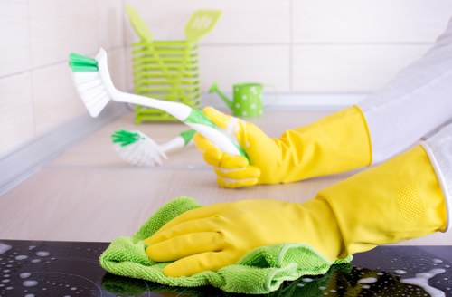 Using an enzymatic cleaner for pet stain odour removal on upholstery